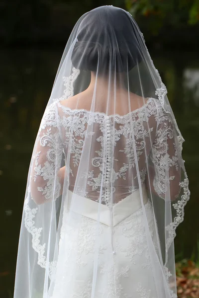 Back view of bride — Zdjęcie stockowe