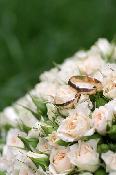 Schöne Blumen Nahaufnahme — Stockfoto