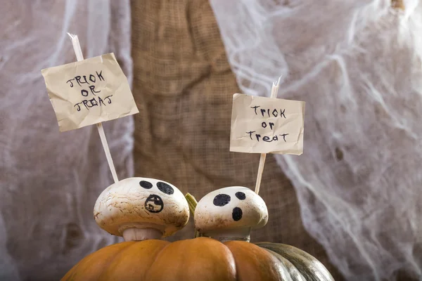Champignons on Halloween pumpkin top — Stock Photo, Image