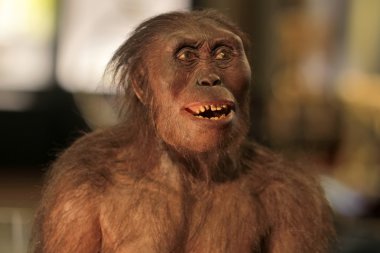 Maymun oyuncak figür