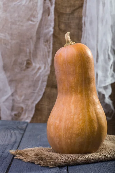 Één groot geheel oranje kalebas — Stockfoto