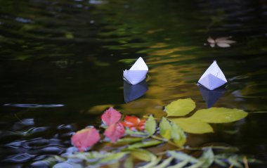 Renkli su yapraklarda