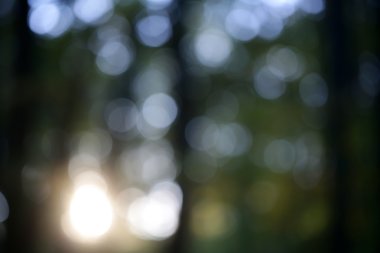 Ufuk yaz park fotoğrafı