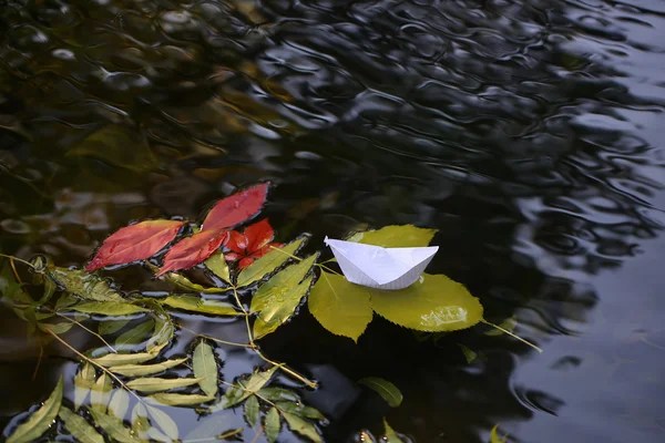 Πολύχρωμα φύλλα για το νερό — Φωτογραφία Αρχείου