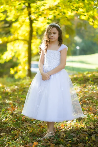 Attractive girl in glad rags — Stock Photo, Image