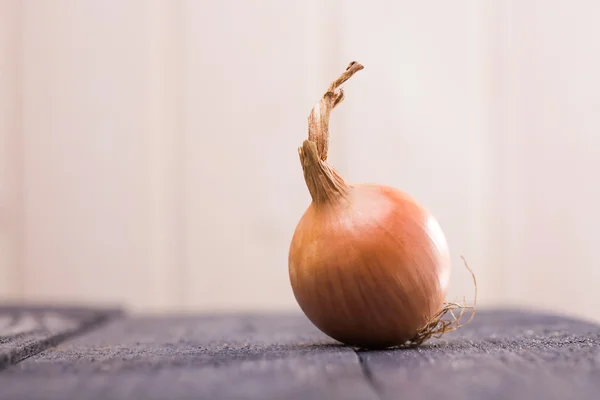 Domestic ripe onion closeup — Stock Photo, Image
