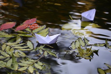 Renkli su yapraklarda