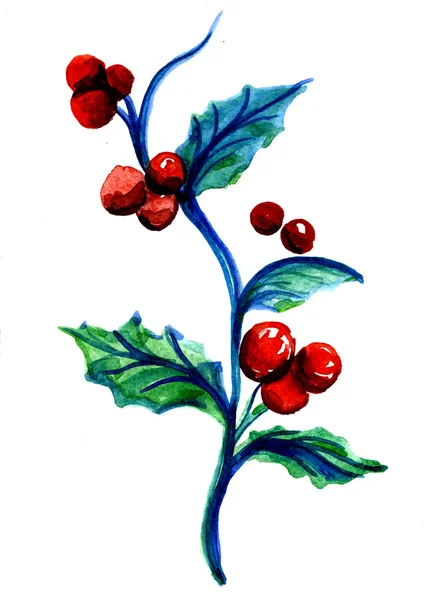 Різдвяна червона гілка з ягодами — стокове фото