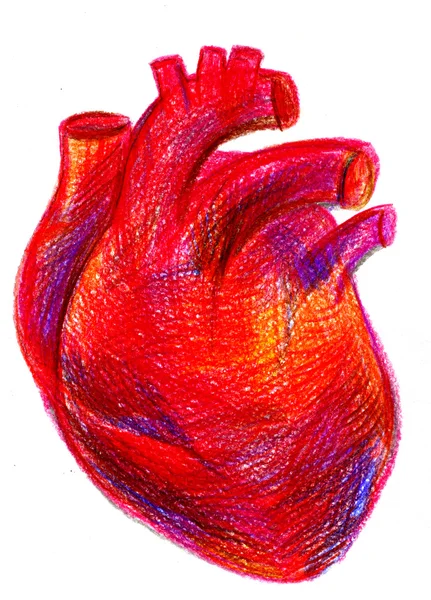 Desenho multicolorido a lápis de coração vermelho-sangue — Fotografia de Stock