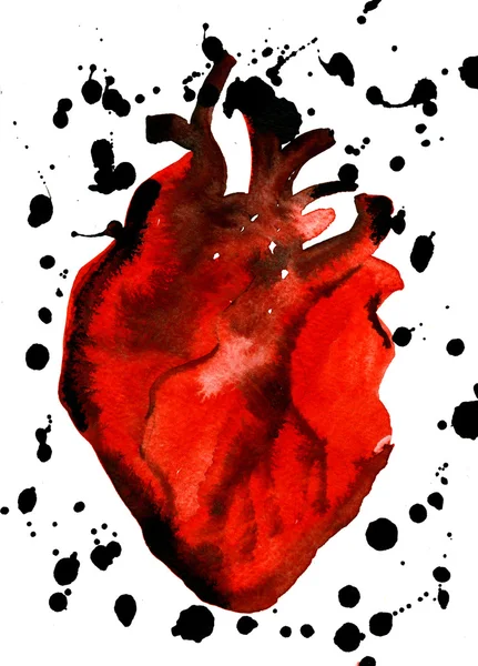 Abstract aquarelle human red-blood heart — Stockfoto