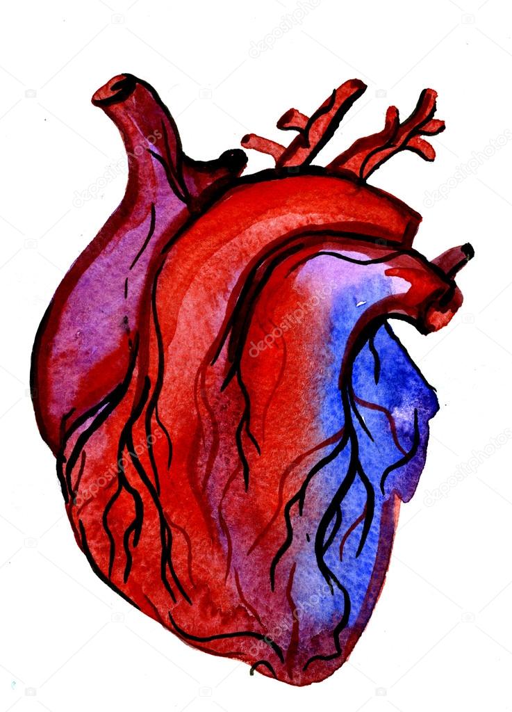 Aquarelle human colorful heart 