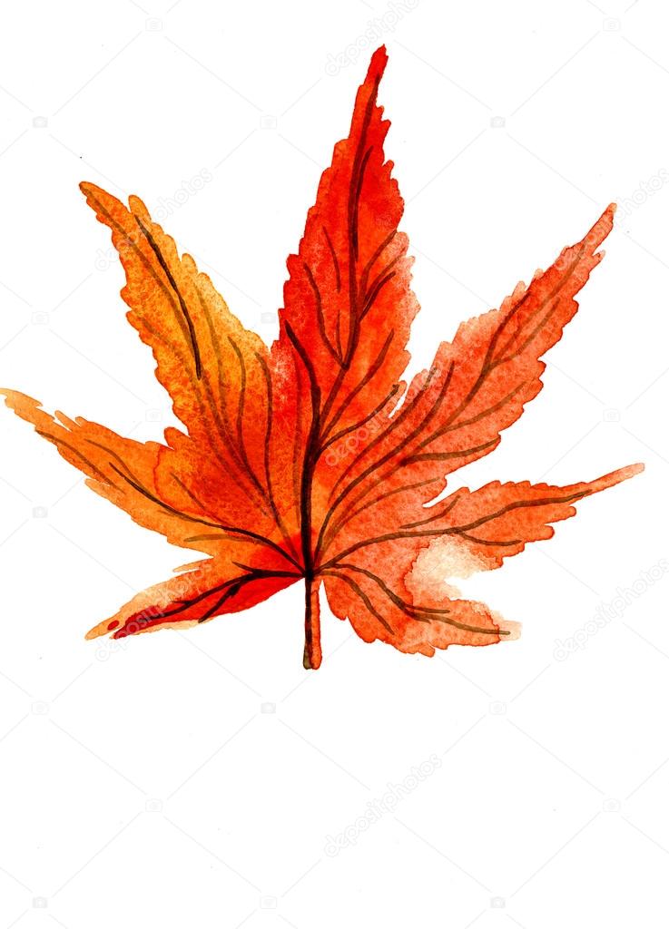 One autumn orange maple leaf
