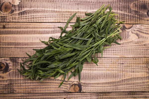 Domestic eating herb — 图库照片