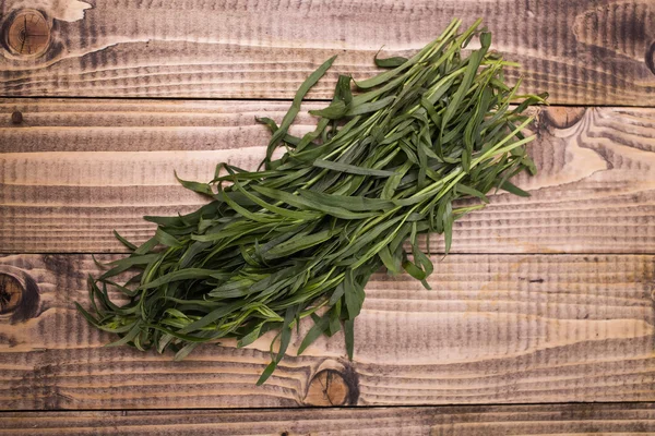 Domestic eating herb — Stock Photo, Image