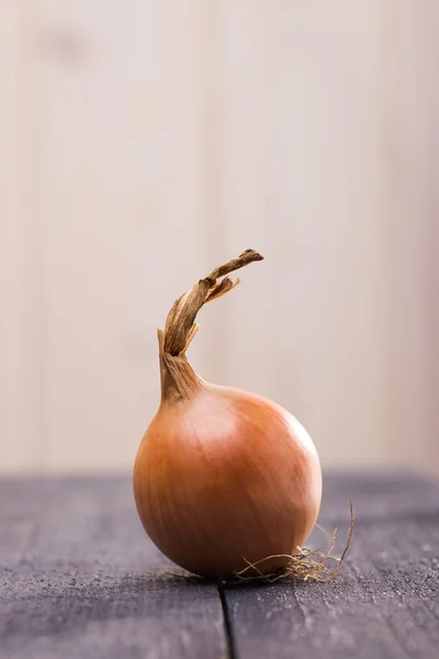 Domestic golden bulb onion — Stock Photo, Image