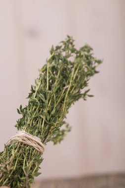 Aromatic rosemary herb