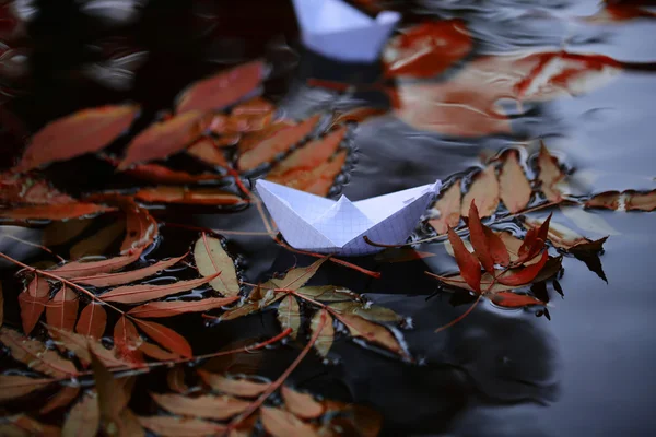 Feuilles colorées sur l'eau — Photo