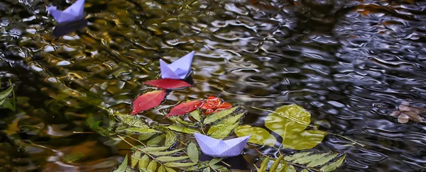 Hojas coloridas en el agua —  Fotos de Stock