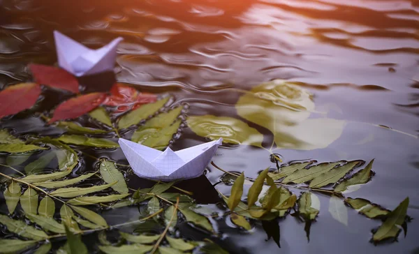 Цветные листья на воде — стоковое фото