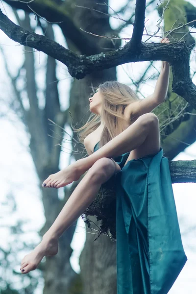 Woman sitting on bare tree — 图库照片