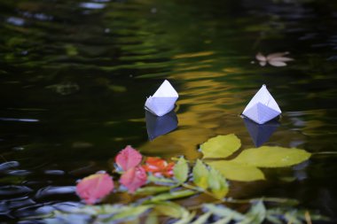 Renkli su yapraklarda