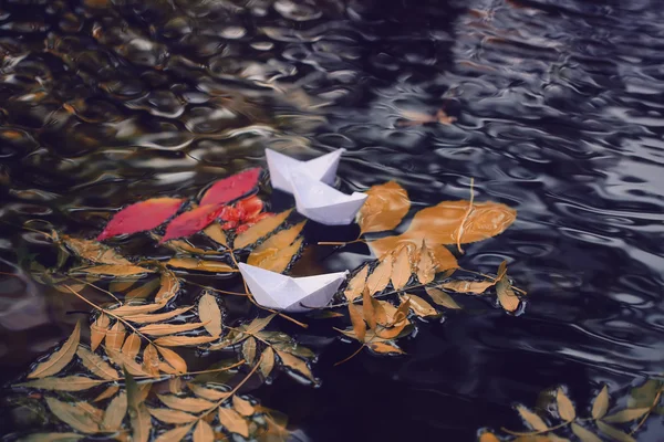 Πολύχρωμα φύλλα για το νερό — Φωτογραφία Αρχείου