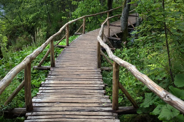 Puente de madera a pie con pasamanos — Foto de Stock