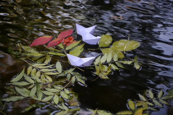 水の上のカラフルな葉 — ストック写真