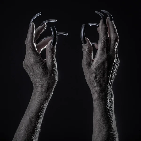 Vecchie mani femminili con unghie lunghe — Foto Stock