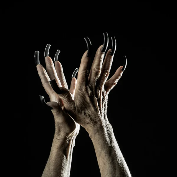 Vecchie mani femminili con unghie lunghe — Foto Stock
