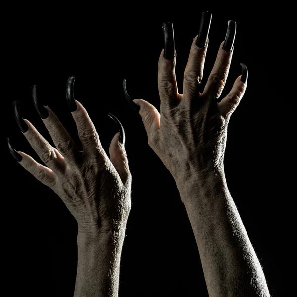 Uzun tırnaklı yaşlı kadın elleri — Stok fotoğraf