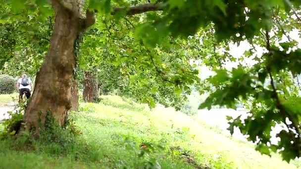 Prachtige verse groene bomen en fietspad in een stad — Stockvideo