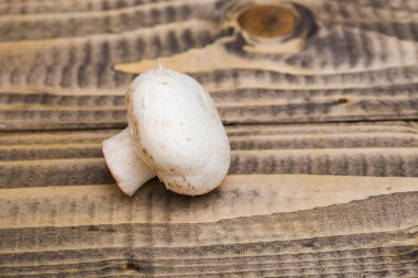 Beyaz mantar kapalı