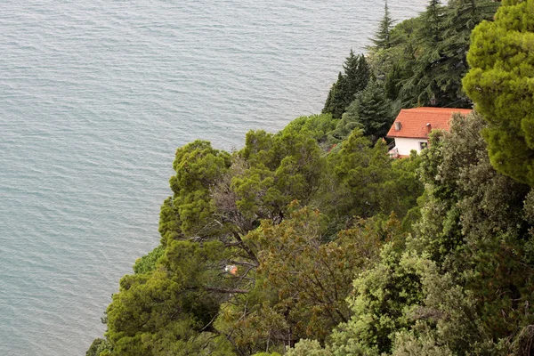 Vista superior da paisagem marinha — Fotografia de Stock