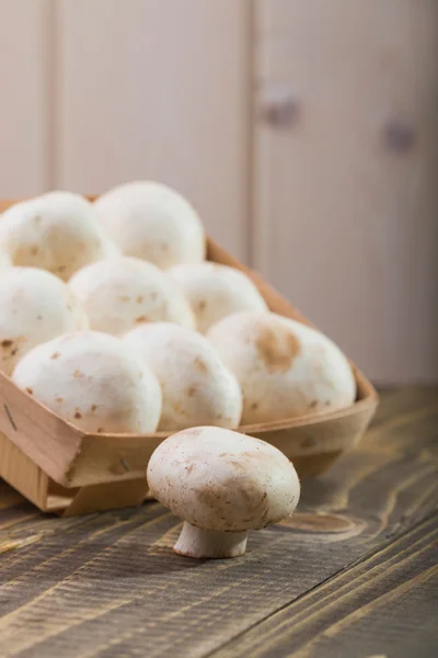 Agaricus near basket — Stockfoto