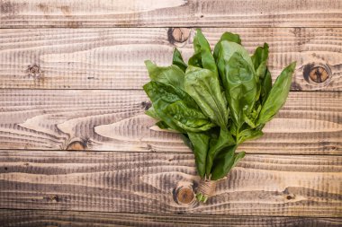 Etli fesleğen köklerini 