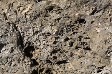 Beach taşlar ve kayalar 