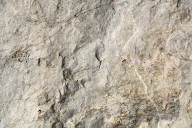 Tuz ile kaplı taş oluşumları