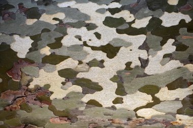 Soyut kamuflaj yamalar yüzeyi