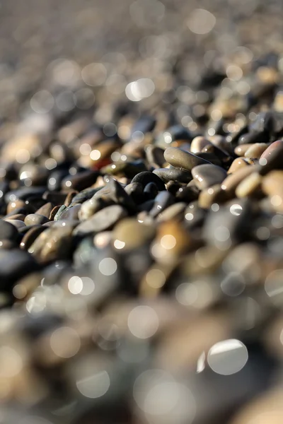 Islak çakıl taşları büyük miktarlarda — Stok fotoğraf