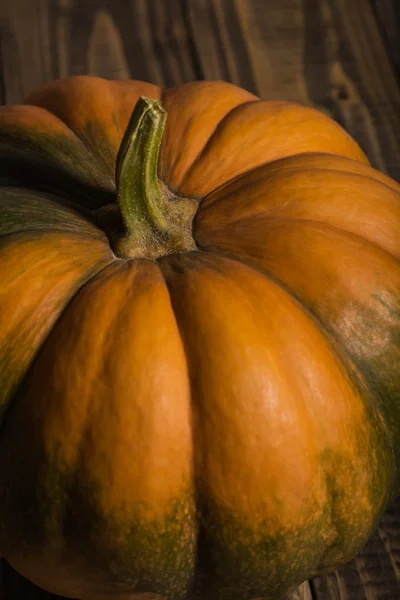 Parte superior de la calabaza — Foto de Stock