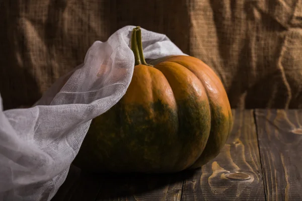 Calabaza redonda con gasa —  Fotos de Stock