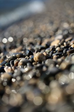 Islak çakıl taşları büyük miktarlarda