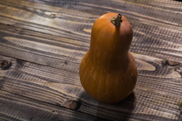 Blick von oben auf langen Squash — Stockfoto