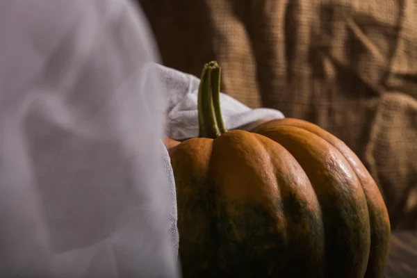 Cucurbita naranja con gasa —  Fotos de Stock