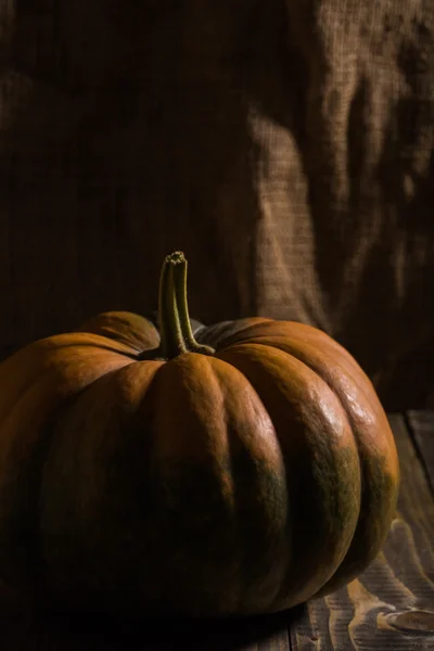 Hermosa calabaza madura —  Fotos de Stock