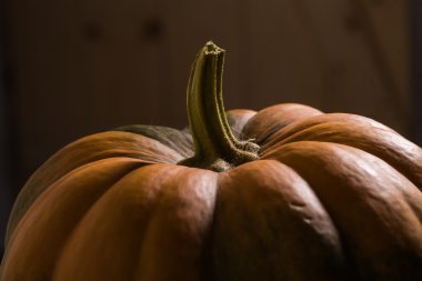 Olgun squash üst kısmı 