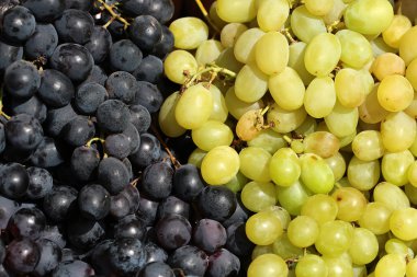 Çiğ beyaz ve siyah üzüm