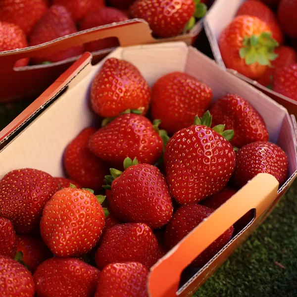 Fruta de fresa roja en venta — Foto de Stock