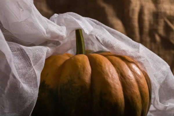 Calabaza redonda con mantel de queso —  Fotos de Stock